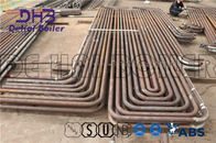 Steam Cycle Piping Reheater In Boiler Customized Dimension Stainless Steel